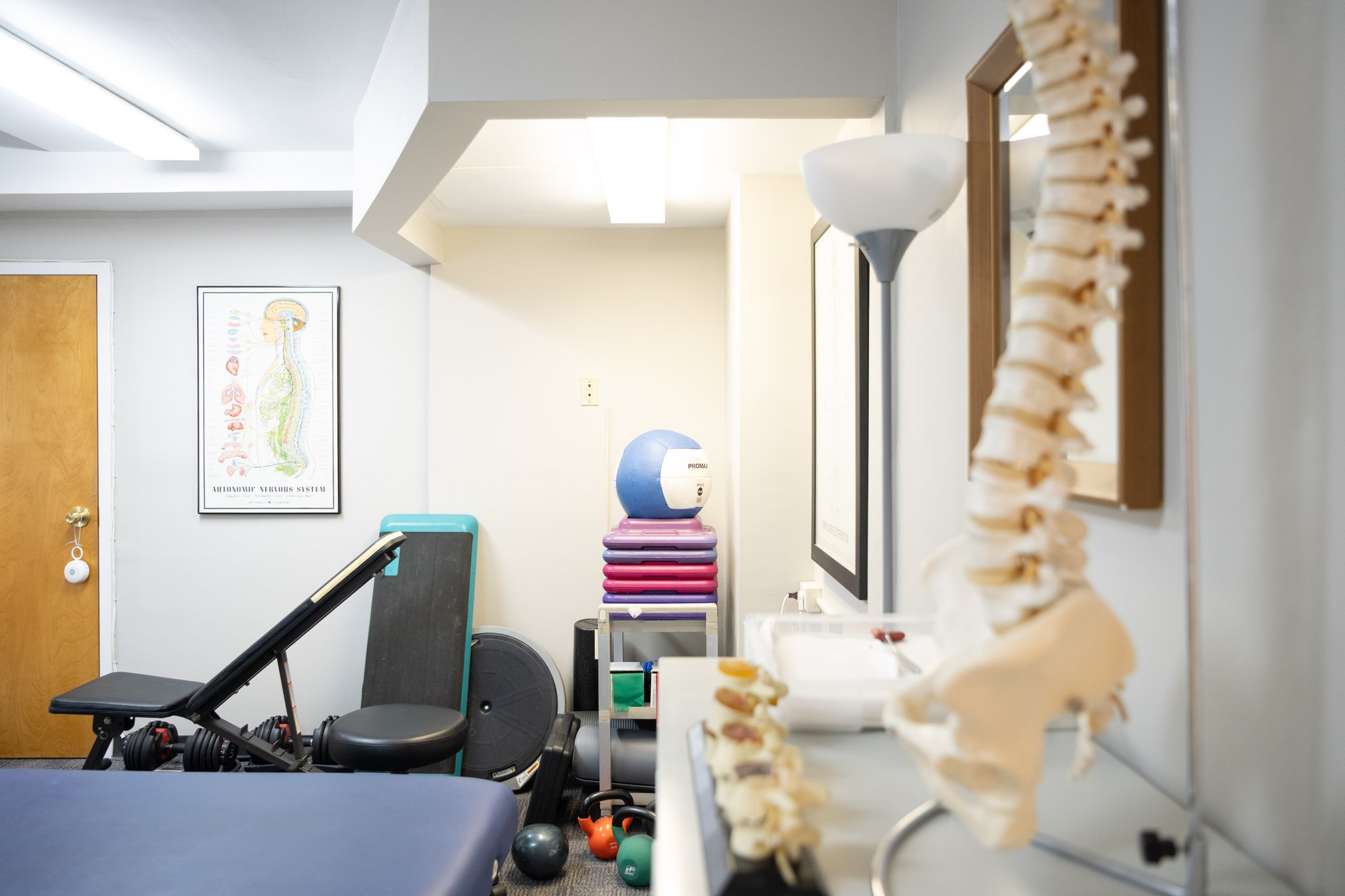 Treatment gym at Zeiss Physical Therapy in Somers, NY with exercise equipment and anatomical models